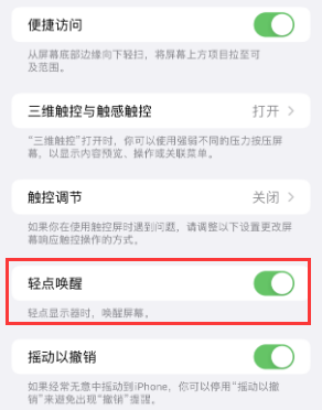 涟源苹果授权维修站分享iPhone轻点无法唤醒怎么办 