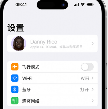 涟源appleID维修服务iPhone设置中Apple ID显示为灰色无法使用 