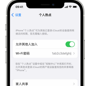 涟源apple服务站点分享iPhone上个人热点丢失了怎么办 