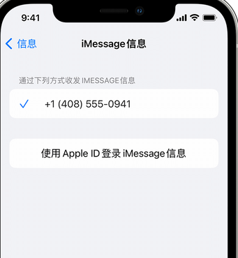 涟源apple维修iPhone上无法正常发送iMessage信息 