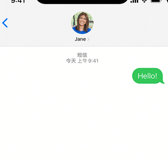 涟源apple维修iPhone上无法正常发送iMessage信息