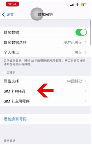 涟源苹果14维修网分享如何给iPhone14的SIM卡设置密码 