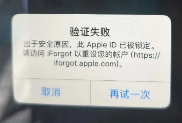 涟源iPhone维修分享iPhone上正常登录或使用AppleID怎么办 