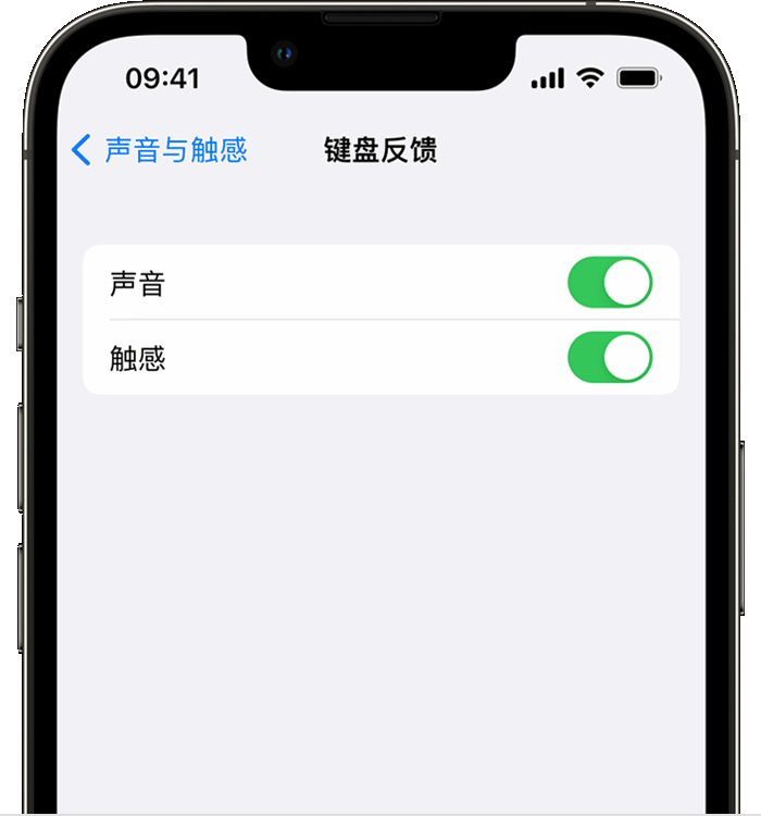 涟源苹果14维修店分享如何在 iPhone 14 机型中使用触感键盘 