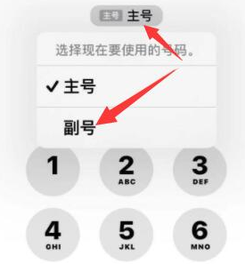 涟源苹果14维修店分享iPhone 14 Pro Max使用副卡打电话的方法 