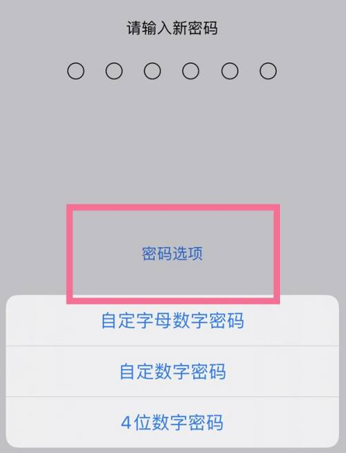 涟源苹果14维修分享iPhone 14plus设置密码的方法 