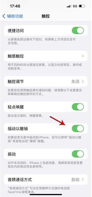 涟源苹果手机维修分享iPhone手机如何设置摇一摇删除文字 