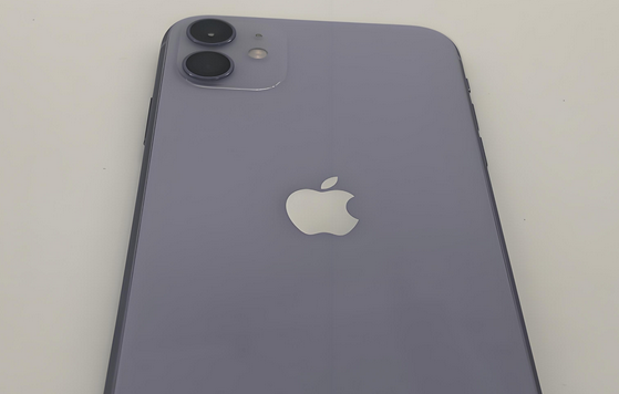 涟源苹果11系统维修分享iPhone11手机系统崩溃无法开机如何解决 
